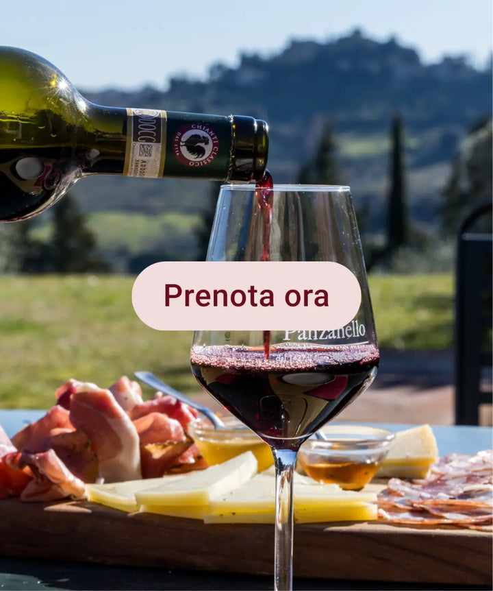 Tour e Degustazione Vini della Cantina Panzanello